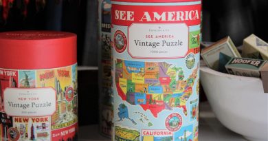 Cool Vintage Puzzle States